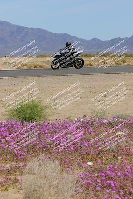 media/Mar-12-2023-SoCal Trackdays (Sun) [[d4c8249724]]/Turn 15 Inside Bloom (130pm)/